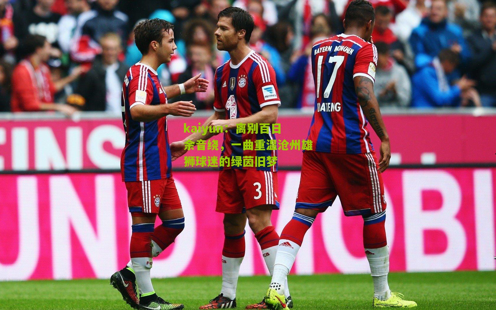 离别百日余音绕，一曲重温沧州雄狮球迷的绿茵旧梦